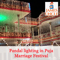 Pandal lighting in Puja Marriage Festival Mr. Chiranjit Mondal in Ramkanali